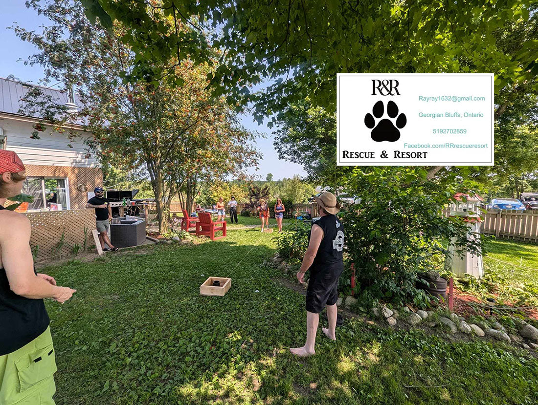 Ellingwood Classic Washer Toss Tournament to raise funds for R&R Pet Rescue